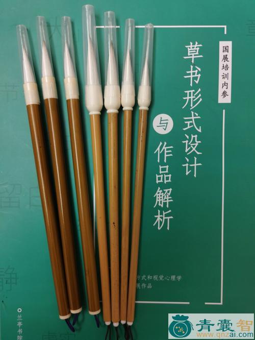 中药材右篆藤图片