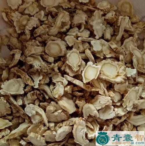 中药材号筒梗图片