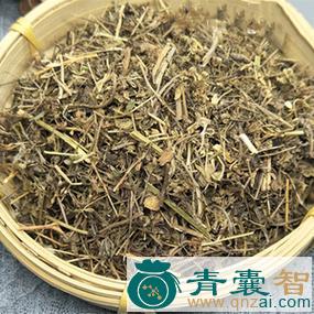 中药材合明草图片