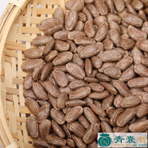 吊菜子的性状性味归经以及功效用法和注意事项-青囊智