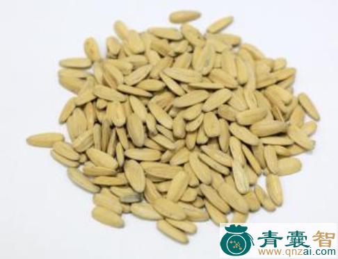 中药材向日葵壳图片