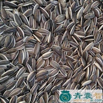 中药材向日葵子图片