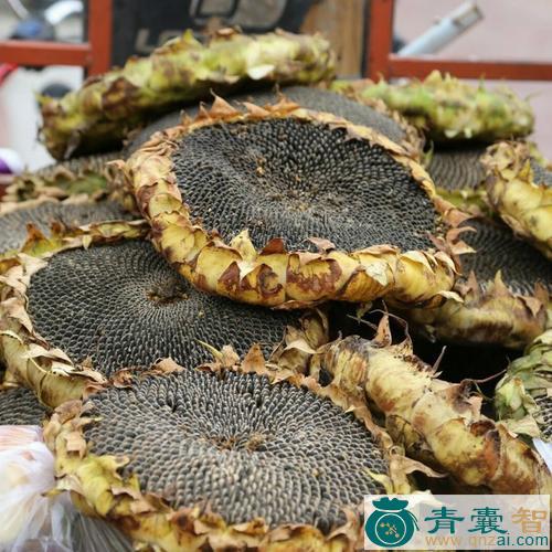 中药材向日葵饼图片