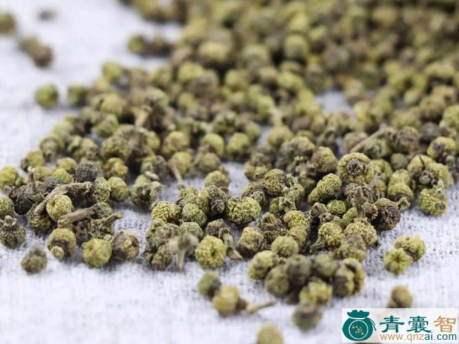 中药材吴草图片