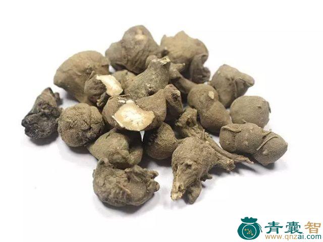 中药材吻头图片