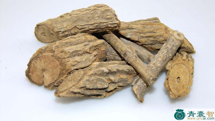 吻莽的性状性味归经以及功效用法和注意事项-青囊智