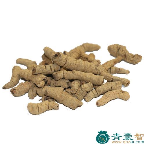 中药材咂口巴图片