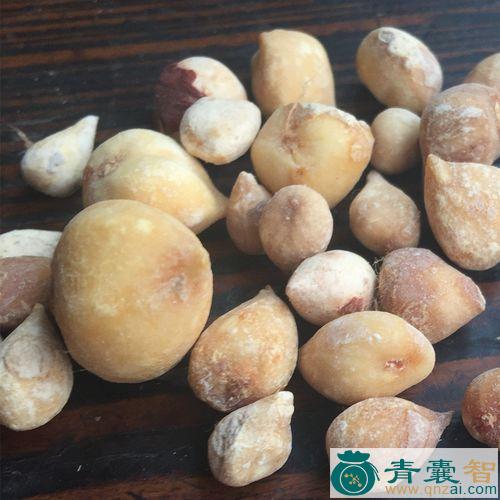 中药材和姑图片