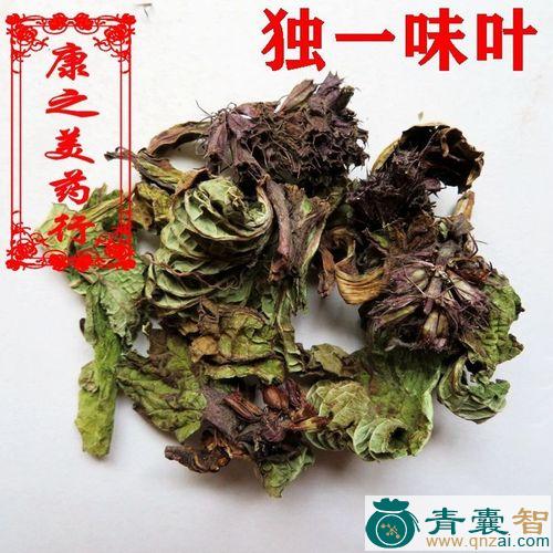 中药材哈努巴拉图片