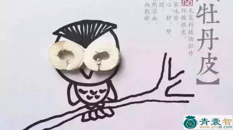 中药材哈哈简图片