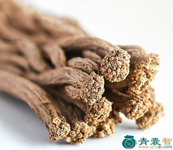 中药材哈蜡党图片