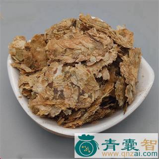 啤瓦古丽的性状性味归经以及功效用法-青囊智