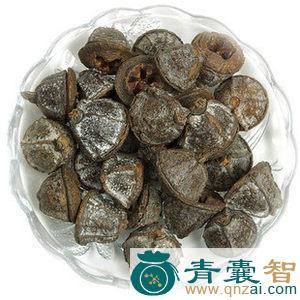 喇叭的性状性味归经以及功效用法-青囊智