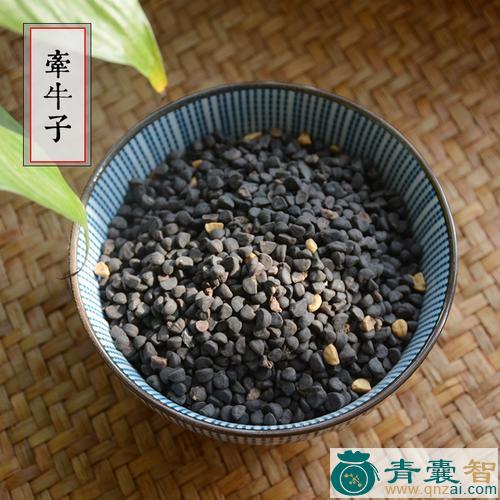 中药材喇叭花子图片