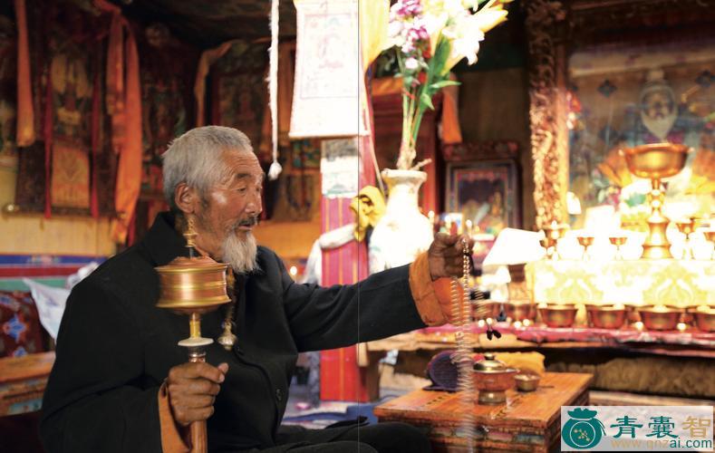 中药材喇嘛杆图片