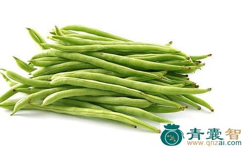 中药材四季豆图片