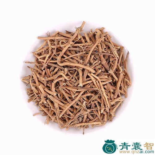 中药材四川白前图片