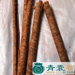 中药材四方木皮图片