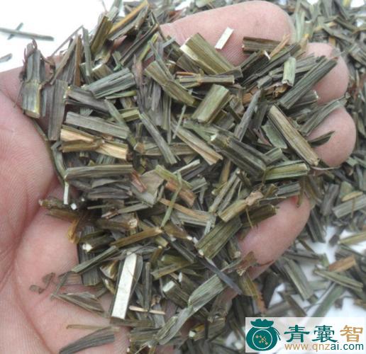 中药材四棱标图片