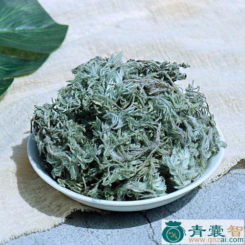 因陈蒿的性状性味归经以及功效用法和注意事项-青囊智