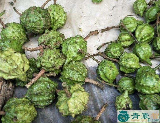 中药材囫头鸡图片