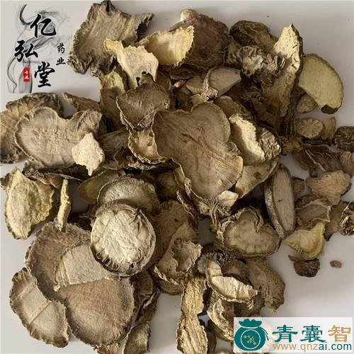 中药材圆胸地胆图片