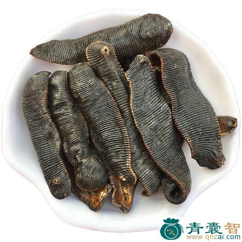 中药材圆节山蚂蝗图片