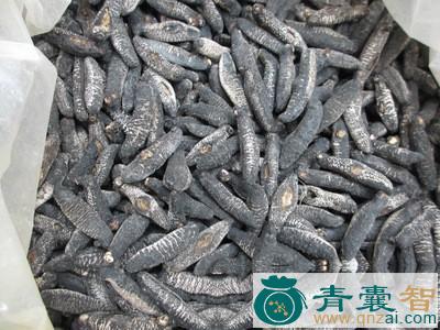 中药材圆萼刺参图片
