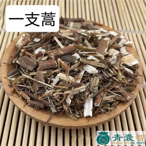 中药材土一支蒿图片
