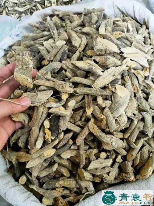 中药材土加藤图片