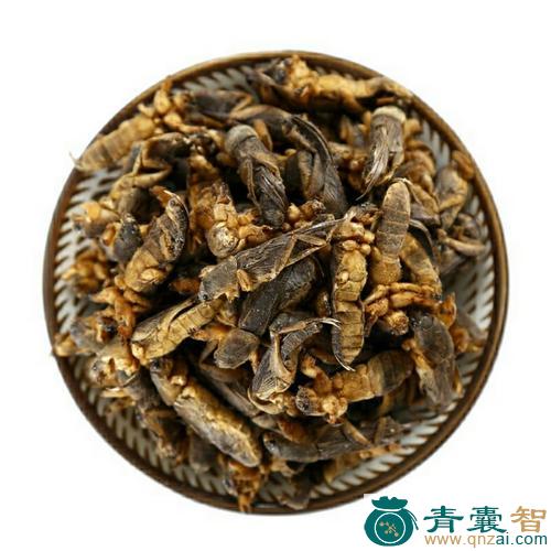 中药材土哺图片