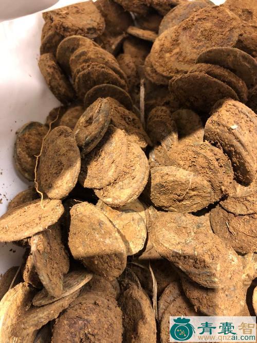 土大酮子的性状性味归经以及功效用法和注意事项-青囊智