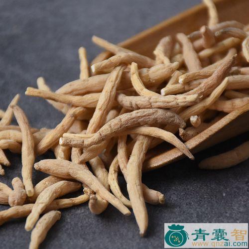 中药材土太子参图片