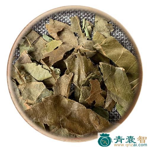 中药材土枇杷图片