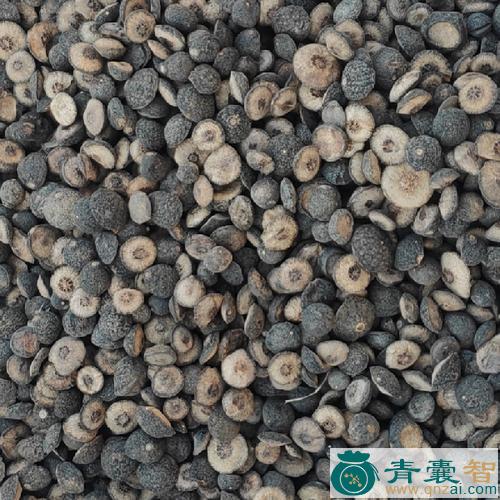 中药材土枳实图片