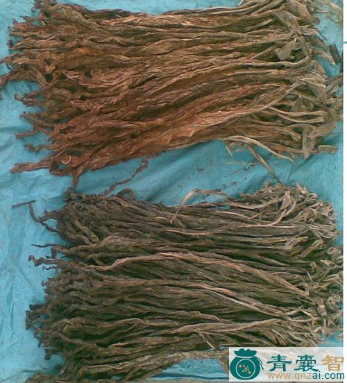 中药材土烟叶图片