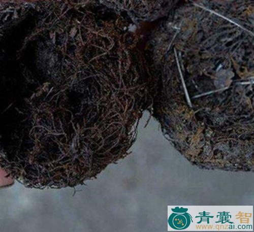 中药材土燕窝泥图片