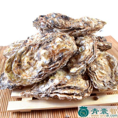 中药材土牡蛎图片