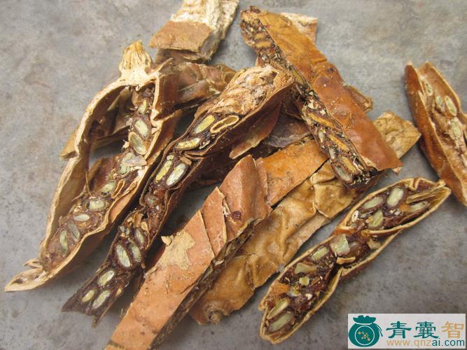 中药材土瓜图片