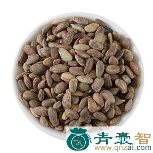 中药材土瓜子图片