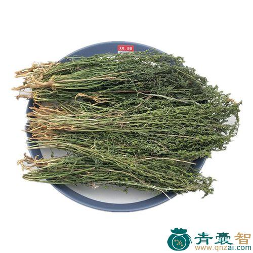 中药材土蕊子图片