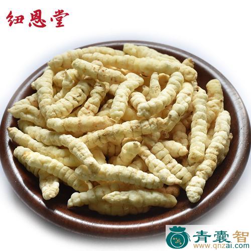 土蚕子的性状性味归经以及功效用法-青囊智