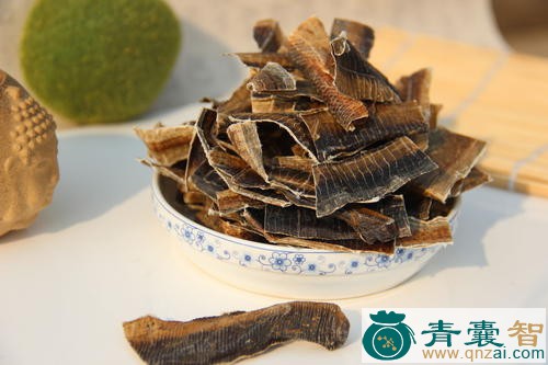 中药材土蟺图片