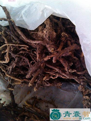 中药材土金茶根图片