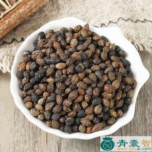 中药材土鸦胆子图片