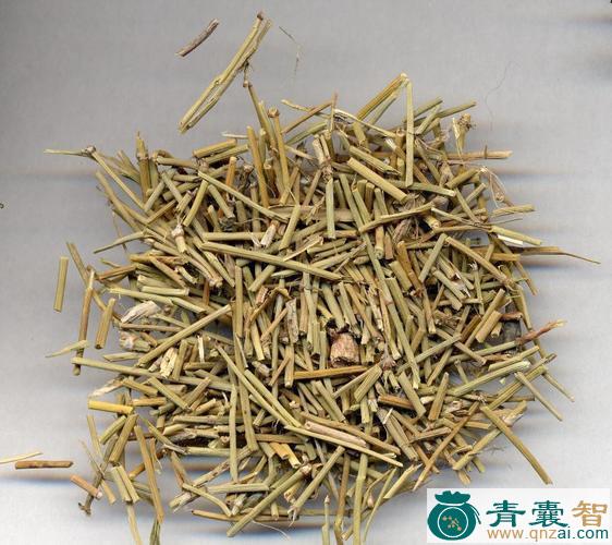 中药材土麻黄图片