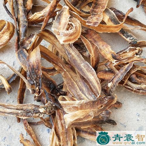 中药材土龙图片