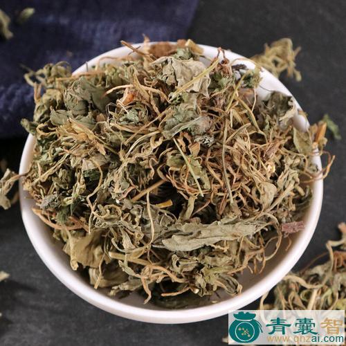 地丁子的性状性味归经以及功效用法和注意事项-青囊智