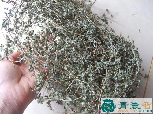中药材地区草图片