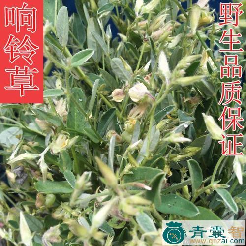 中药材地响铃图片